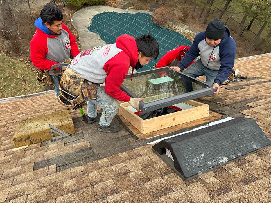 Skylight Services